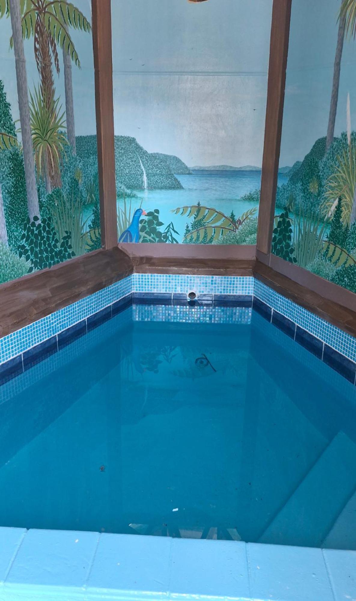 Tokaanu Lodge Motel トゥランギ エクステリア 写真
